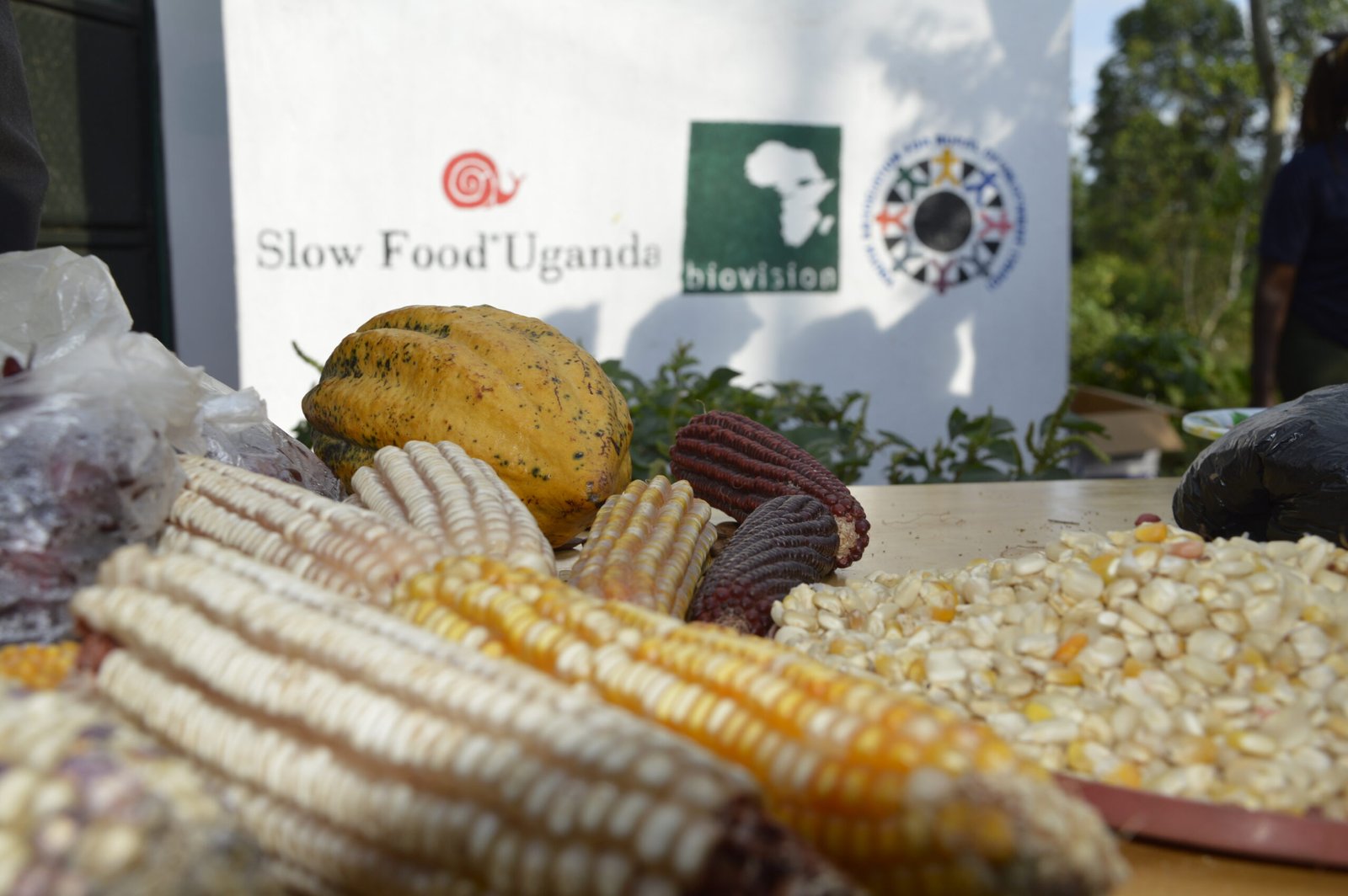 Slow Food Uganda launches Two Community Indigenous Seed Banks in Buikwe district.