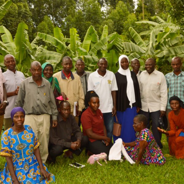 A MIDLINE EVALUATION STUDY CONDUCTED FOR ASSESSING THE IMPACT OF SLOW FOOD UGANDA’S PROJECT: ACCELERATING AGROECOLOGICAL FOOD PRODUCTION, CONSUMPTION, AND MARKET ACCESS FOR RESILIENT FOOD SYSTEMS IN UGANDA