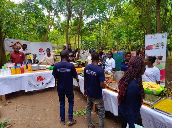 SLOW FOOD YOUTH NETWORK (SFYN) UGANDA HOSTED THE 4TH EDITION OF THE GOOD FOOD CAMP IN THE LUWERO DISTRICT.