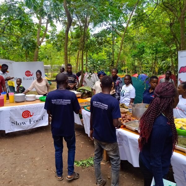 SLOW FOOD YOUTH NETWORK (SFYN) UGANDA HOSTED THE 4TH EDITION OF THE GOOD FOOD CAMP IN THE LUWERO DISTRICT.