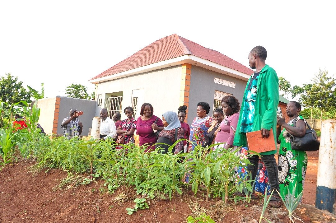 Empowering Slow Food Communities: Slow Food Uganda Organized a Knowledge Exchange Visit for Urban Farmers from Kampala to Enhance their Understanding of Agroecology and Fostering the Establishment of Urban Gardens.